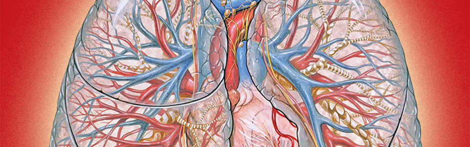 simsinai acls course description
